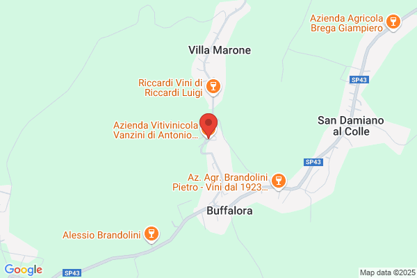 Vanzini victor