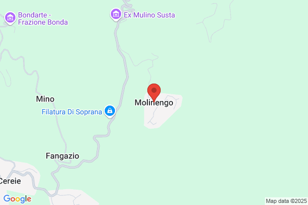 Molinengo daniela