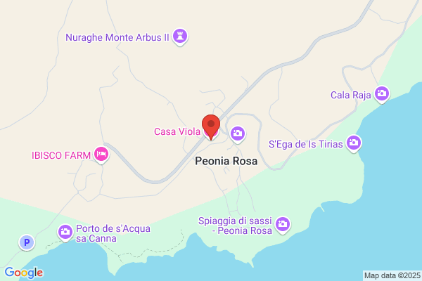 Viola pietro