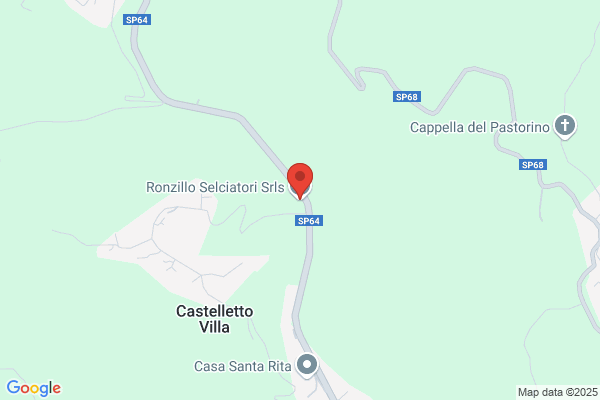 Ronzillo Selciatori
