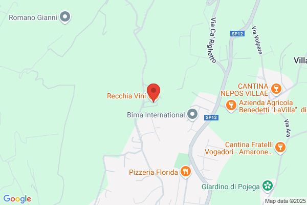 Recchia silvano