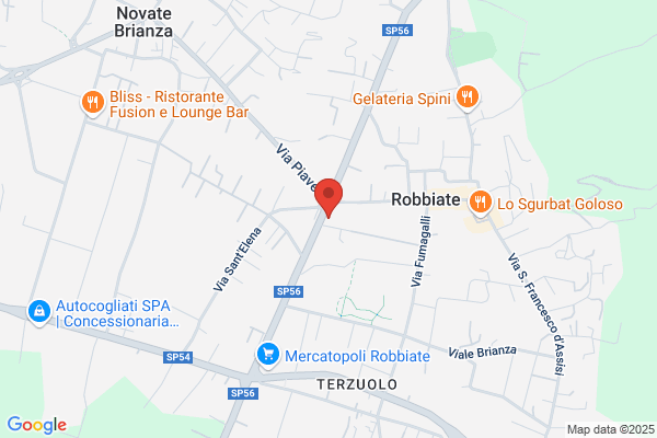 Fumagalli Marisa