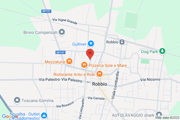 Testa enrica (Rag.)