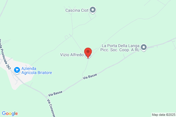 Vizio D. E Figli