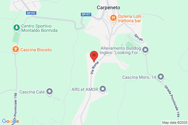 Pisaturo Giardinaggio e Bonifica Calabroni