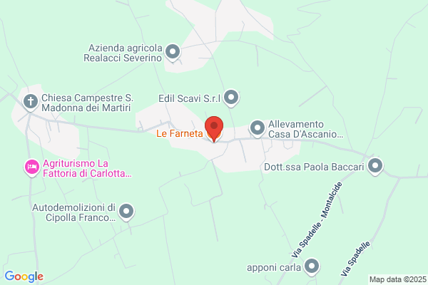 Le Farneta Bar Ristorante Pizzeria