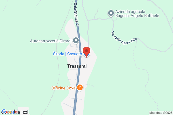 Cavuoto Automobili Concessionaria Skoda