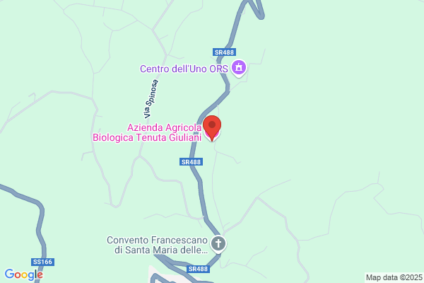 Gorga Aldo