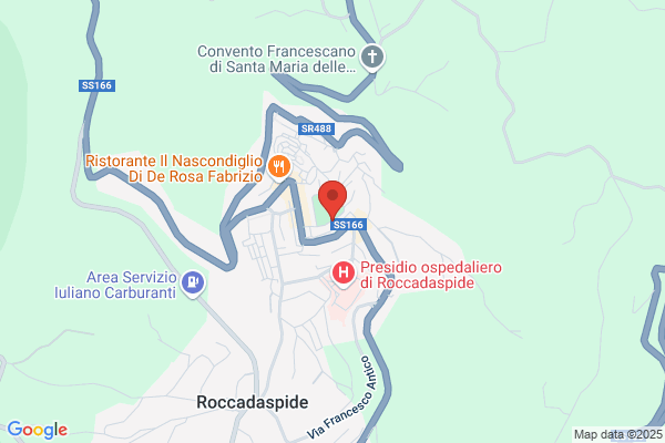 Guarracino Domenico Savio (Avv.)