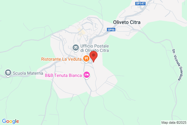Music Shop Di Saponaro Assunta
