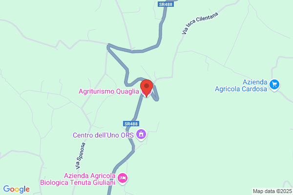 Quaglia anna