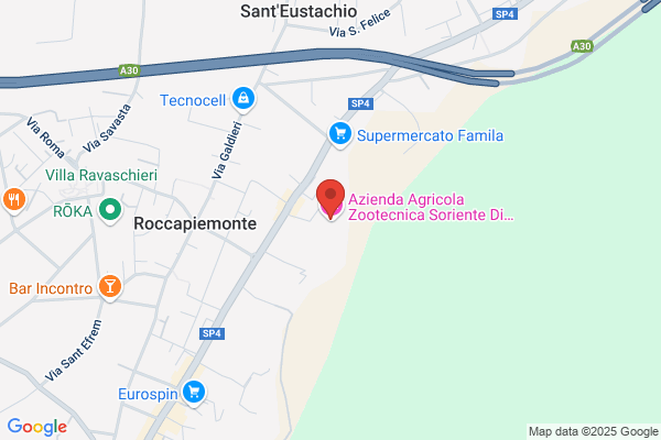 Soriente Consalvo