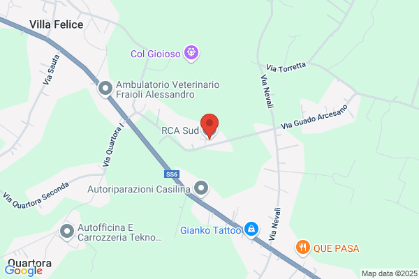 RCA Sud s.r.l.