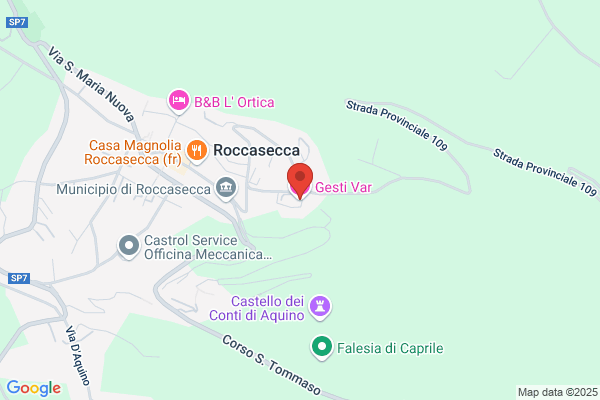 Gesti Var Srl