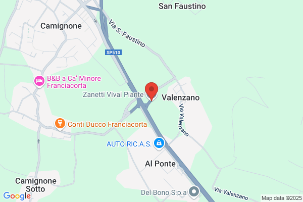 Zanetti Vivai Piante
