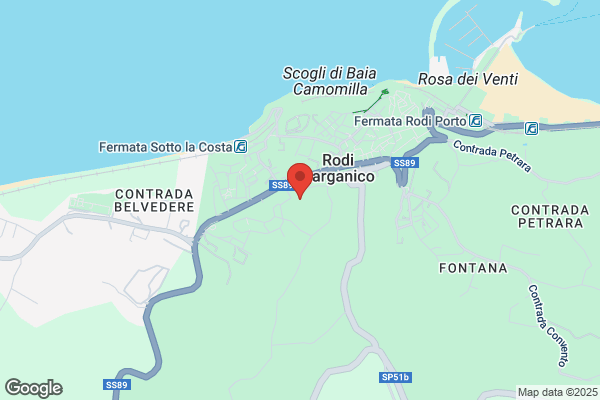 Campanaro,ortensio
