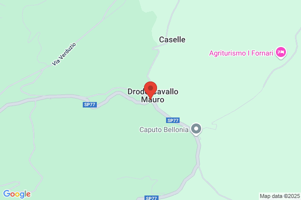 Frantoio Oleario Radano Massimo