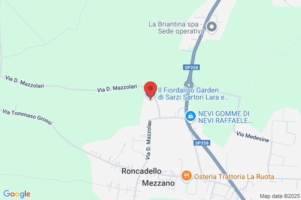 Fiordaliso