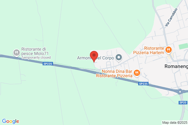 Pigoli angelo