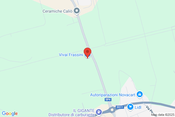 Frassini Vivai e Piante