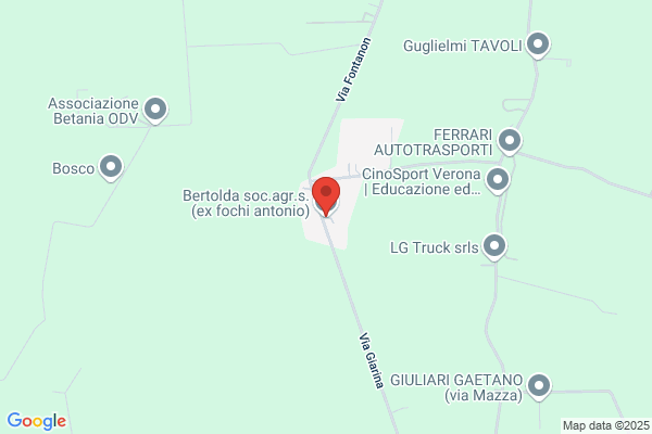 Fochi Antonio