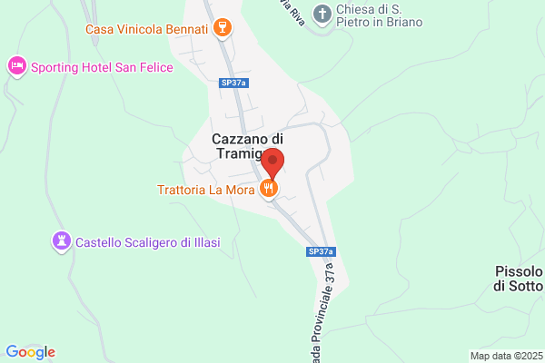 La Fantasia Di Allegri Anna