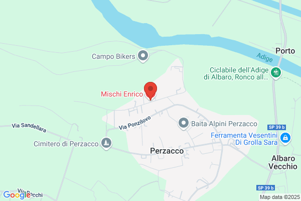 Mischi enrico