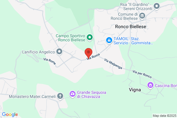 Centro Piemonte Servizi Srl