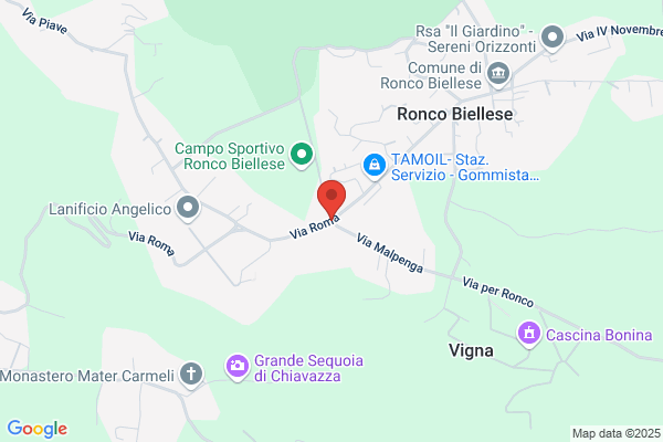 Il Melograno Di Pizzocaro Anna Maria