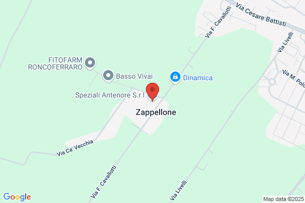 Speziali Antenore