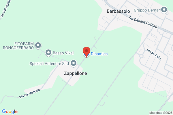 Dinamica