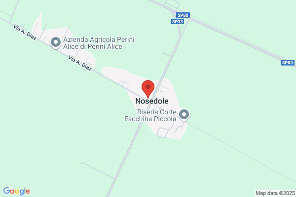 Guarnieri Arrigo