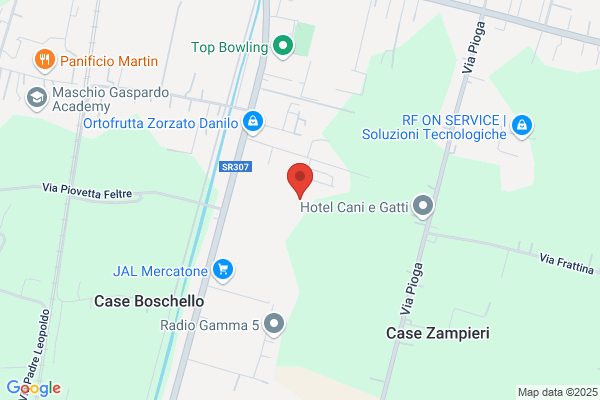 Noema Solid Di Cavicchini Sante & C. S.A.S.