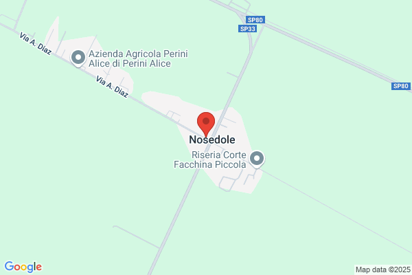 Schiavi attilio