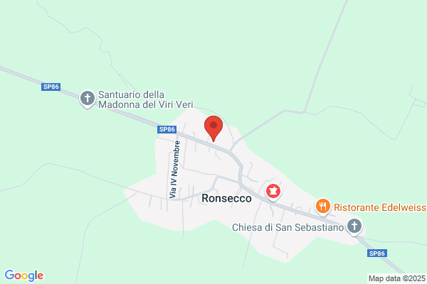 Violino vittorio