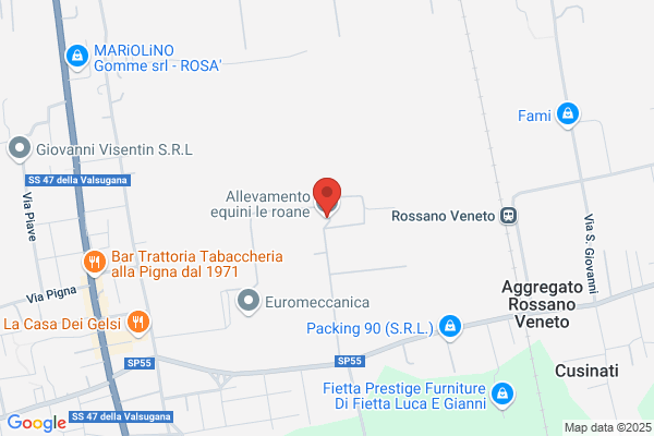 Roane Veneto S.R.L. Centro Di Addestramento