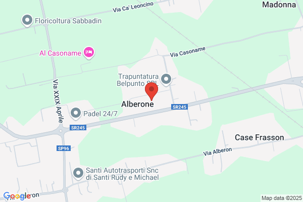 Marchesan aldo