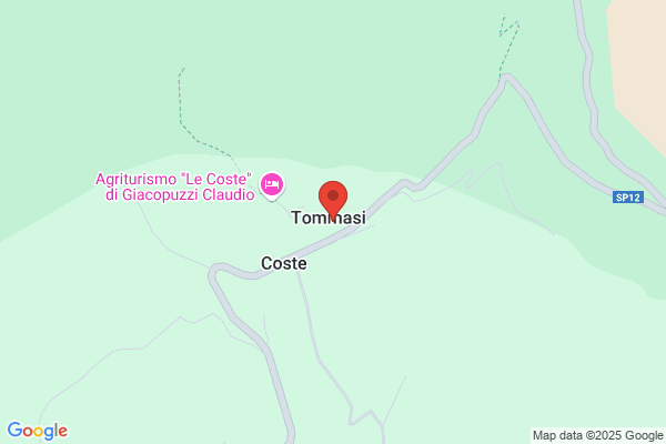 Alain Tommasi