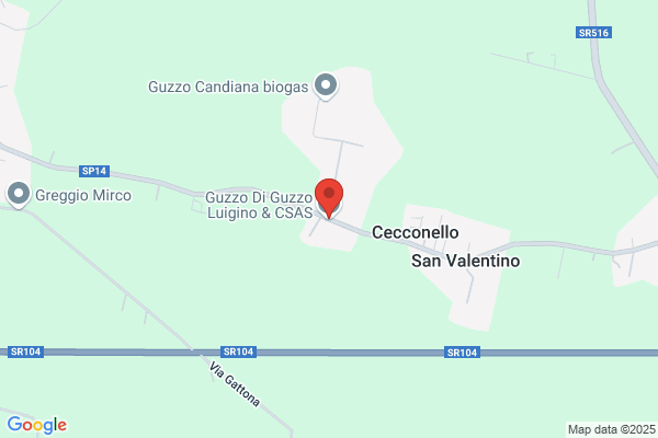 Guzzo  Fiorindo
