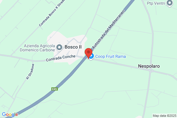 O.R.A. Di Piromalli E Bellissimo S.N.C.