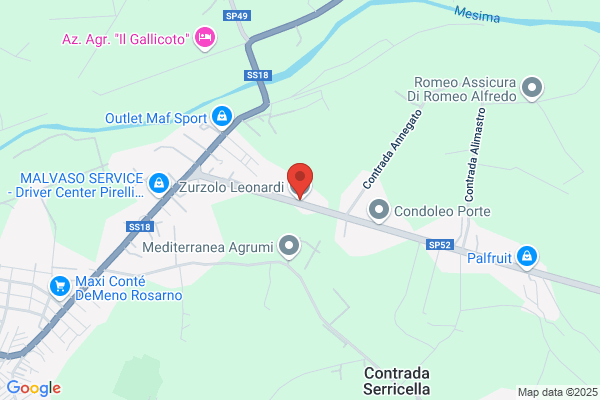 Zurzolo michele (Geom.)