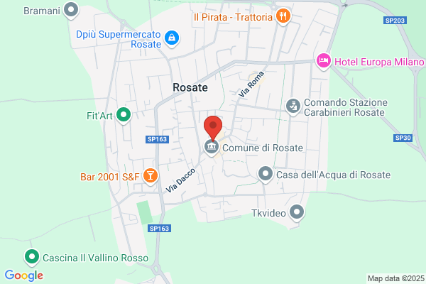 Municipio 9088802