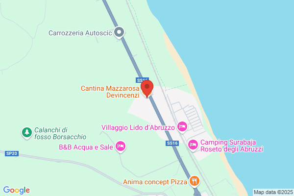 Mazzarosa Devincenzi Antonio