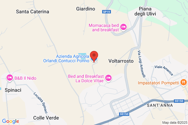 Orlandi francesco
