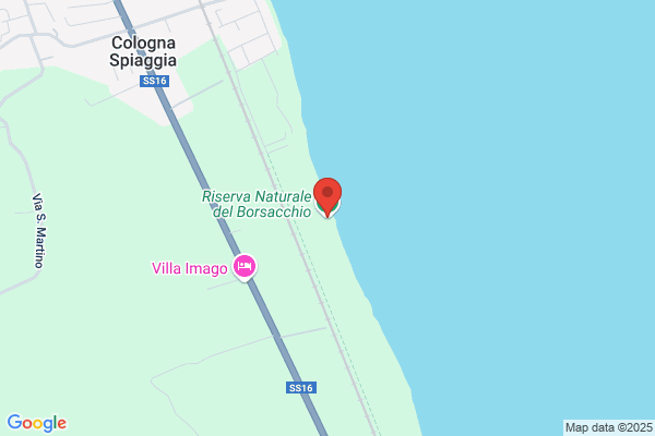 Palma vincenzo