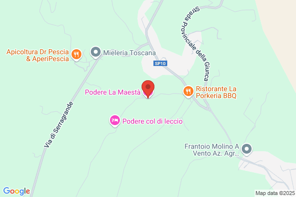 Tarantola Mario