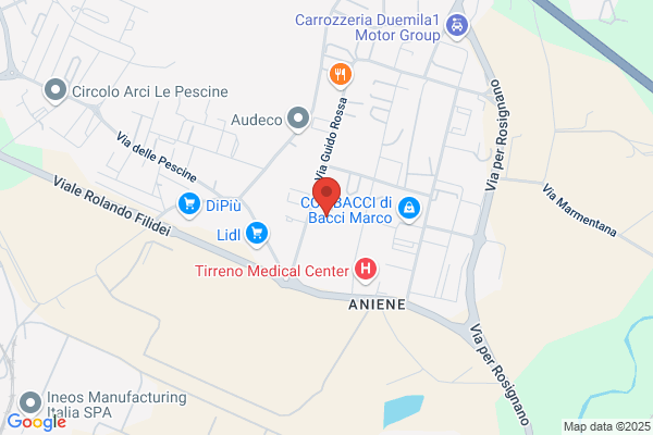 Tecnocar Di Mangoni E De Cicco Sdf