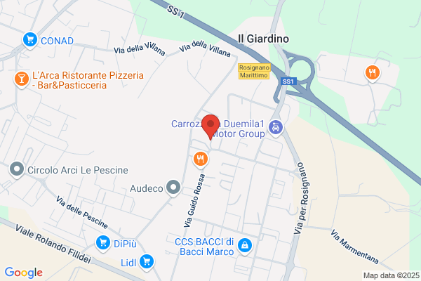 Faucci Giannelli Paolo (Dr.)