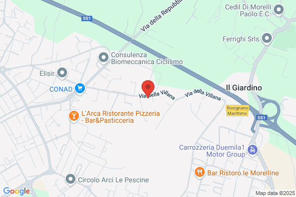 Giannicchi Pier Luigi