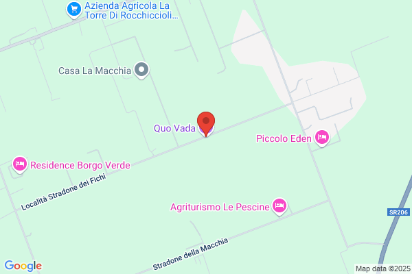 Querci avenio